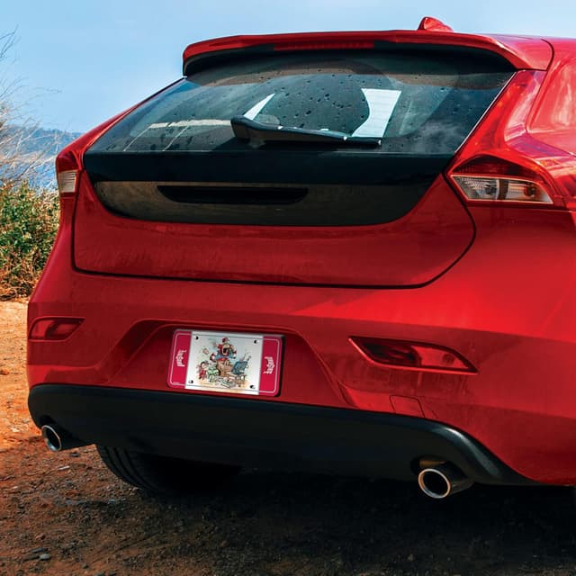 Detalle de Rico Industries NCAA Ohio State Buckeyes Gary Patterson Metal Auto Tag (8.5" x 11")