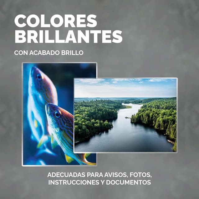 Detalle de Fellowes 6003301 Pouches per plastificazione Apex A4 lucide (100 fogli)