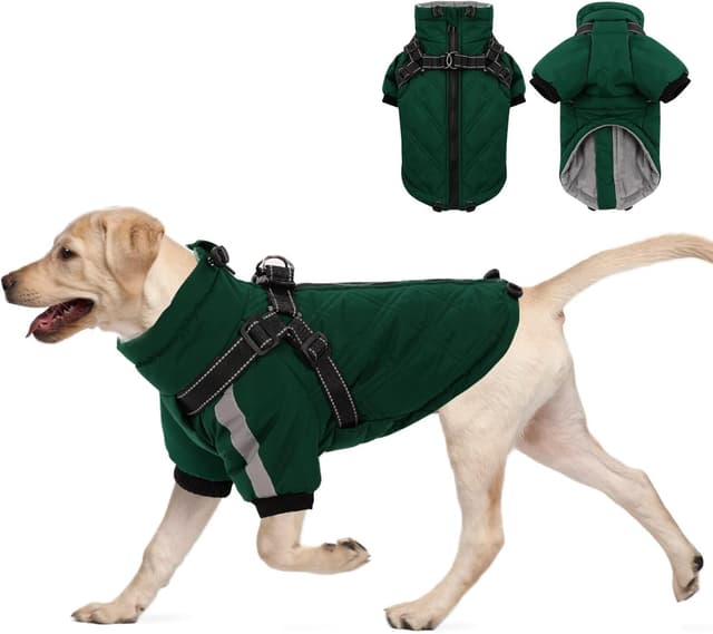 Detalle de CITÉTOILE Warmer Hundejacke mit Geschirr für kaltes Wetter (Winddicht, Reißverschluss, reflektierende Streifen) – Grün, L
