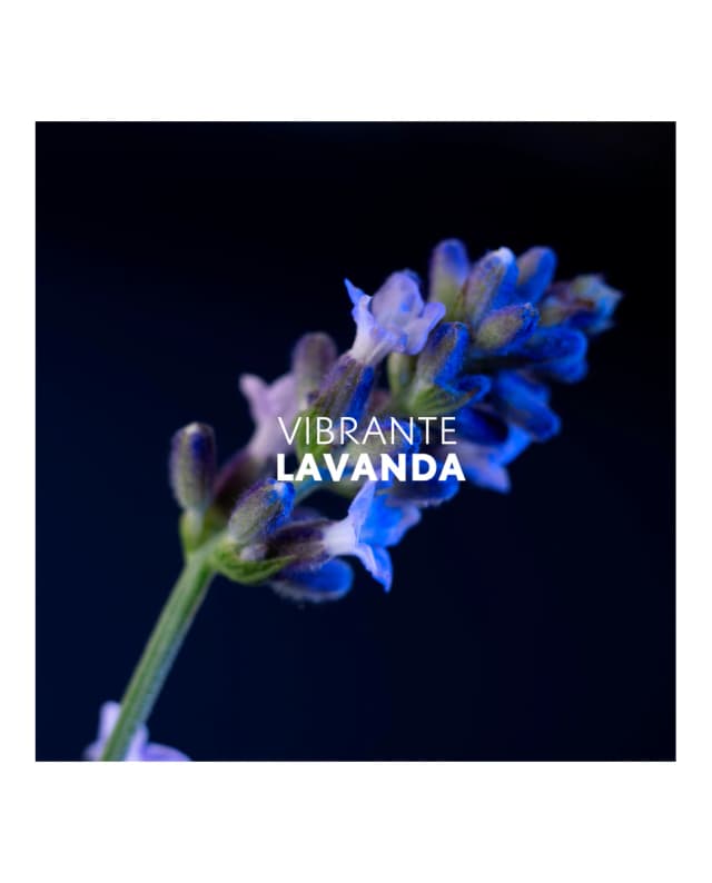 Thumbnail 4 de Yves Saint Laurent Y Eau de Toilette 60 ml