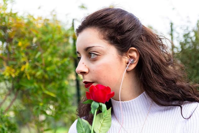 Detalle 2 de LUDOS Ultra Wired Earbuds (In-Ear) with Microphone, Noise Isolating, Memory Foam Tips, 5-Year Warranty — Pink