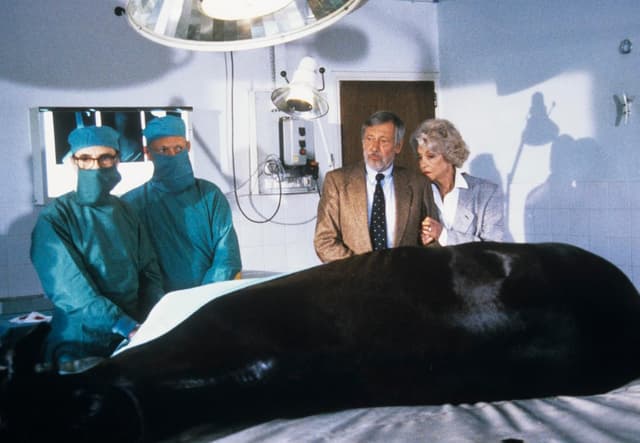 Detalle de WME Home Entertainment „Fest im Sattel: Der Mooshof“ Komplettbox mit 48 Episoden