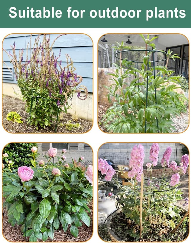 Thumbnail 6 de 10Pcs 10" x 16" Plant Support Stakes 25×40cm