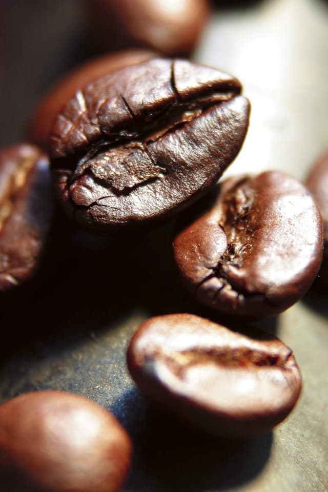 Detalle 2 de Caffè Corsini Café en Grano India Monzón 🌱 750g