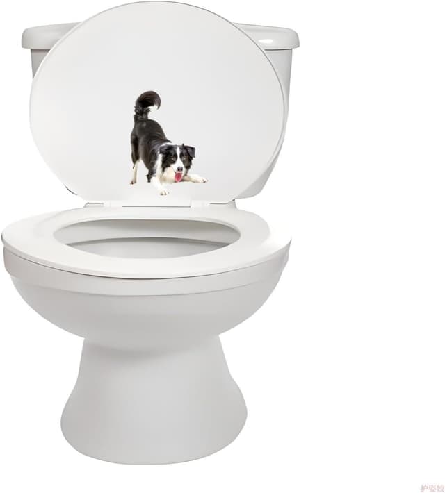 Thumbnail 4 de Border Collie Aufkleber 15 cm Reflektierend