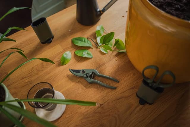 Thumbnail 6 de Fiskars Sécateur Urban Plant Care 19,9 cm