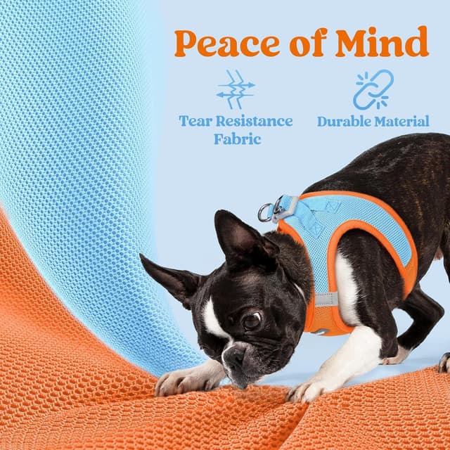 Detalle de rabbitgoo Dog Harness (Small Dog) Step-in Soft Mesh Puppy Harness with Reflective Strips, Blue & Orange, M