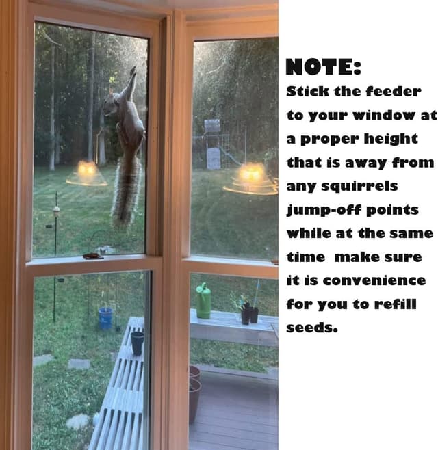 Thumbnail 5 de Bird Feeder Birds House Window Suction Cup 🐦