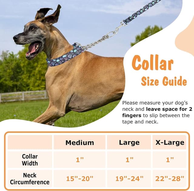 Thumbnail 2 de Chain Dog Collar Heavy Duty Martingale