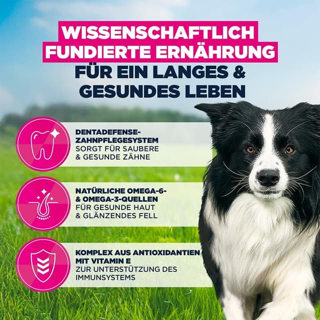Detalle de Eukanuba Trockenfutter für mittelgroße Rassen mit frischem Huhn – Premium Hundefutter (15 kg)