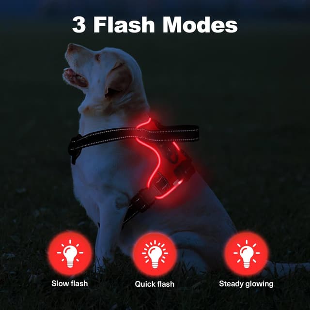 Detalle 2 de MASBRILL Light Up Dog Harness