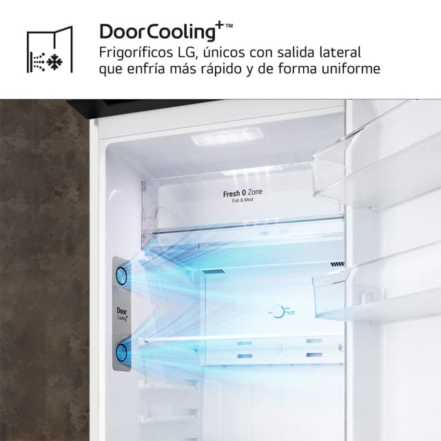 Detalle de LG GTBV20SWZJD reacondicionado (Grado D) con Door Cooling y Total No Frost
