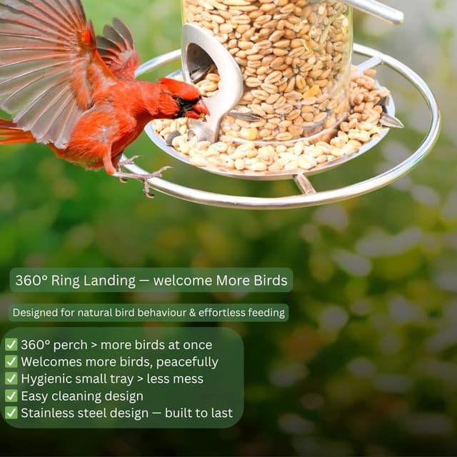 Detalle de HEAVY DUTY stainless steel bird feeder 35cm 🐦