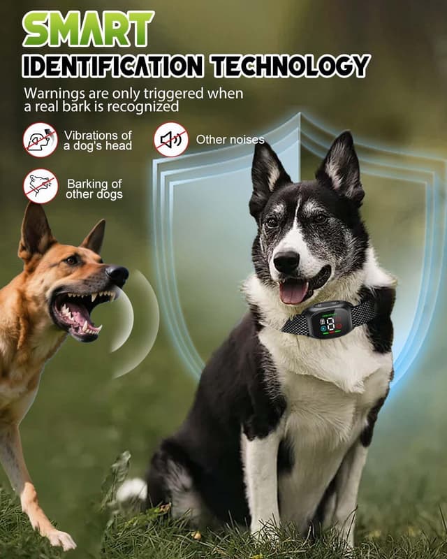 Thumbnail 3 de Anti Bark Collar 8 Sensitivities