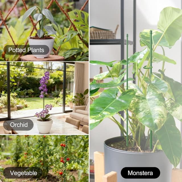 Thumbnail 6 de RIFNY Plant Supports 30cm for indoor use