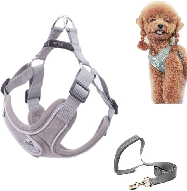 Thumbnail 6 de SKXEO Small Dog No-Pull Harness and Lead Set – reflective, adjustable, breathable (escape-proof design)