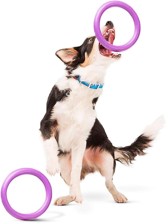 Thumbnail 5 de Ferplast Puller Midi anelli addestramento per cane 2 pezzi