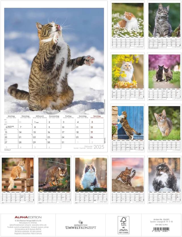 Thumbnail 1 de Alpha Edition Tatzentiger 2025 Wandkalender 29,7x42 cm