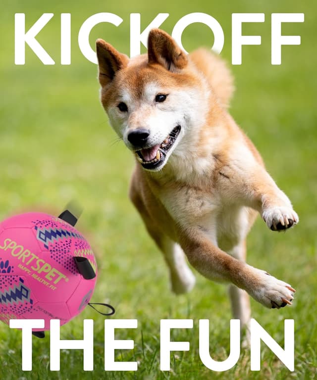 Thumbnail 6 de SPORTSPET Dog Football with Grab Tabs (Pink, Medium) – Durable interactive floating dog volleyball-style toy