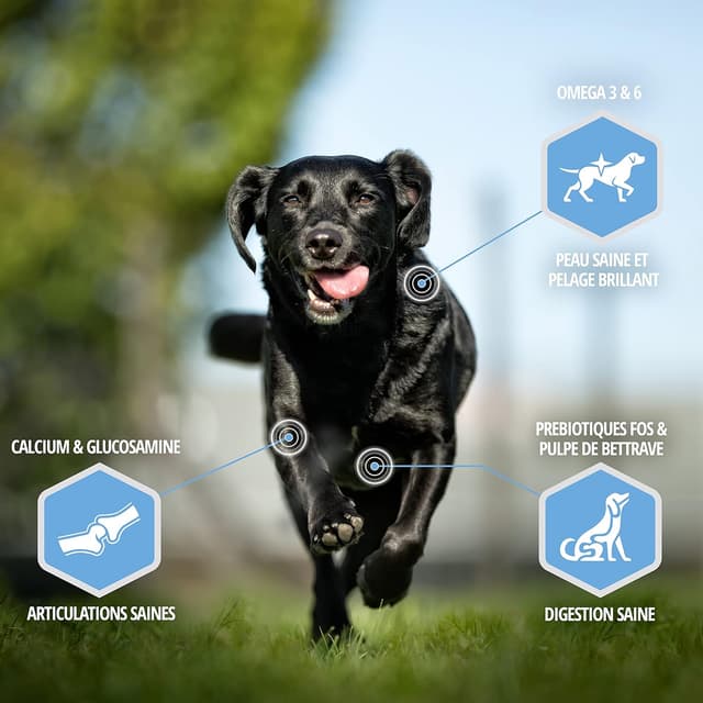 Detalle de Eukanuba Daily Care Adulte Contrôle de Poids Grande Race au Poulet 15 kg