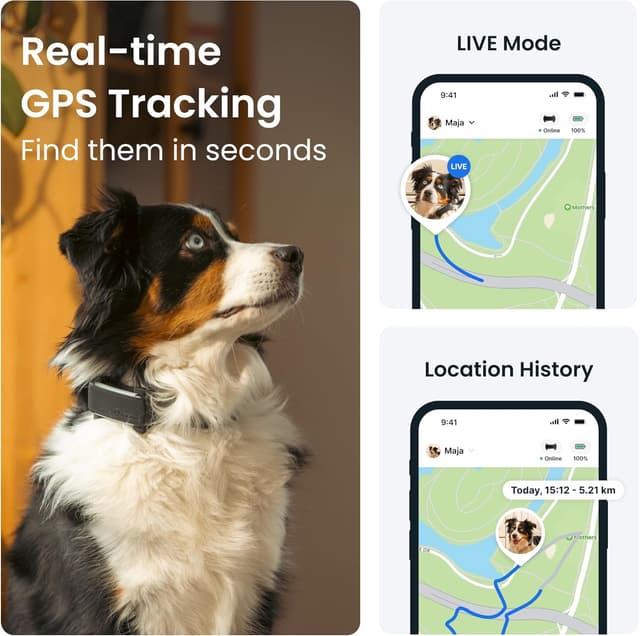 Detalle de Smart Dog Tracker real-time GPS 14 days
