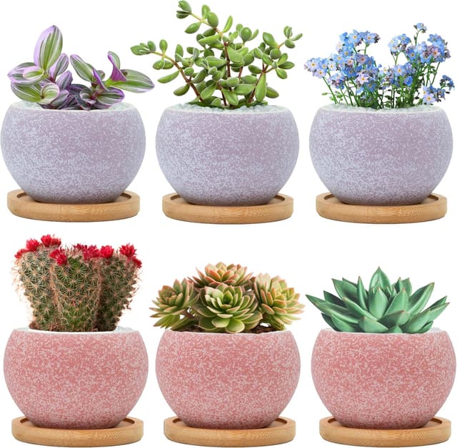 Imagen de Thriving Thicket 3" Ceramic Succulent Pots, 6-Pack 🌱 en OfertitasTOP