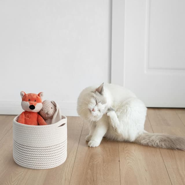 Detalle de TIMEYARD Aufbewahrungskorb aus Baumwolle, geflochten – kleiner Regalkorb für Kinderzimmer & Büro (D24 x H18 cm)