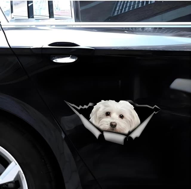 Detalle 2 de TIZIKJ Malteser Autoaufkleber 22 cm