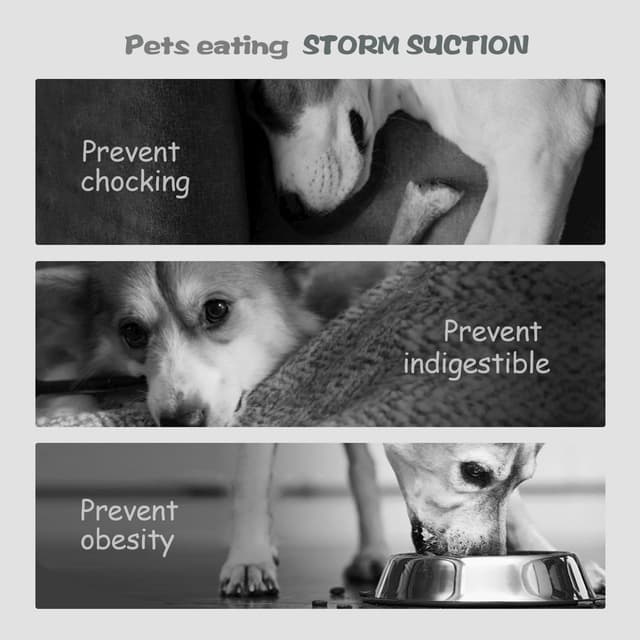 Thumbnail 6 de Lesipee Slow Feeder Dog Bowl 7.5"