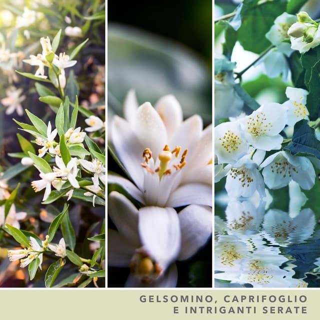 Thumbnail 1 de Yankee Candle Candela giara grande Gelsomino