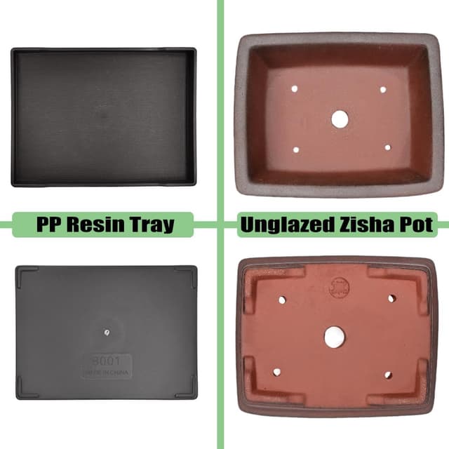 Detalle de MUZHI vaso bonsai in ceramica 21 cm