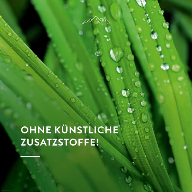 Detalle de AllgäuQuelle BIO-Airspray „Allgäuer Erfrischung“ (Lemongrass, Orange, Bergamotte) – 100 ml