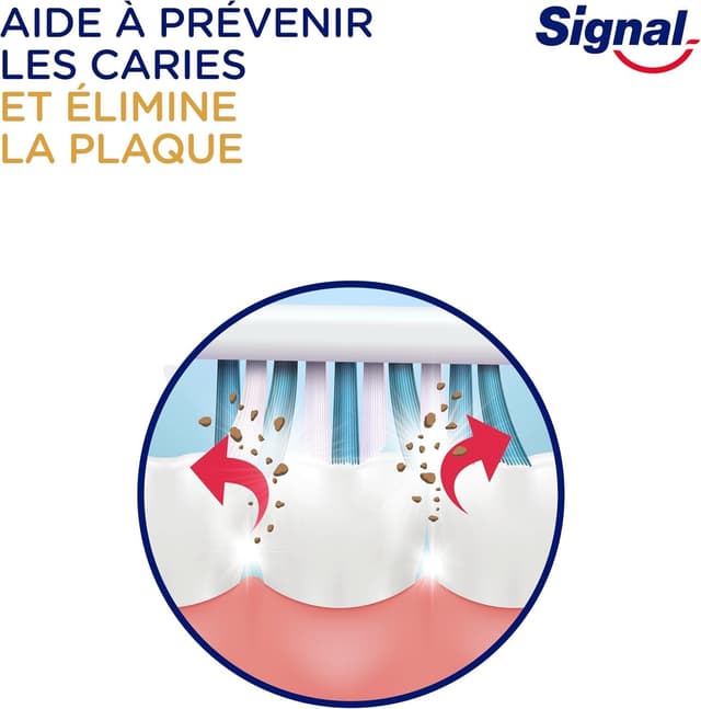 Thumbnail 5 de Signal Integral 8 Brosse à dents Soin complet lot de 12 🪥