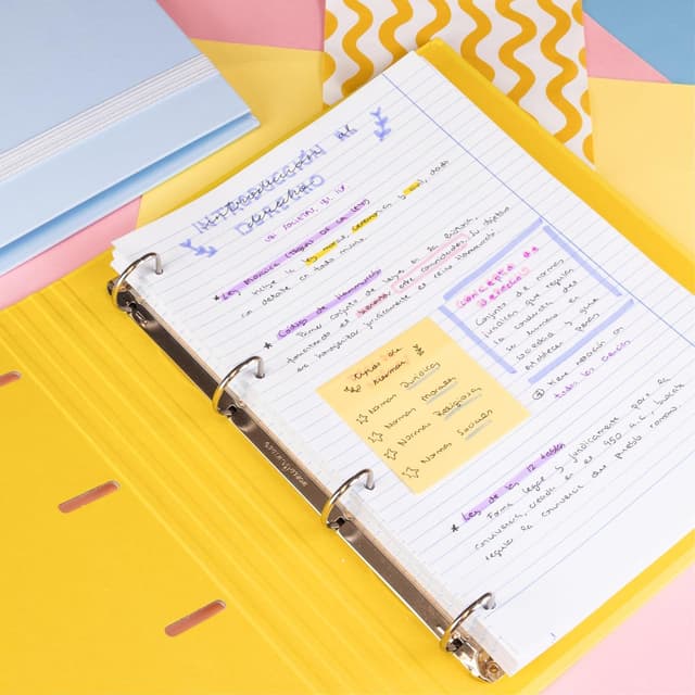 Thumbnail 5 de Raylu Paper Recambio Hojas A4 Perforadas 90 g