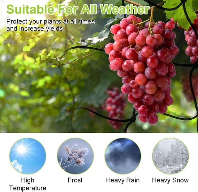 Thumbnail 3 de OFFCUP Rete a traliccio 100x100 cm