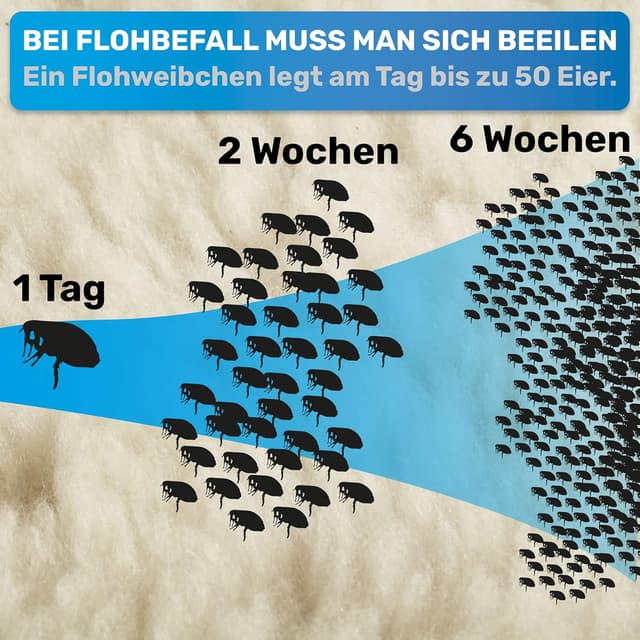 Detalle 2 de BluePet Robuster Flohkamm & Läusekamm für Hunde & Katzen – robuster Kamm mit abgerundeten Zinken (Floh-, Läuse- und Nissenkamm)