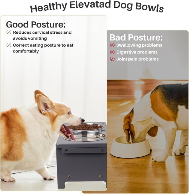 Thumbnail 2 de Nothing burger Erhöhte Hundenäpfe für große Hunde