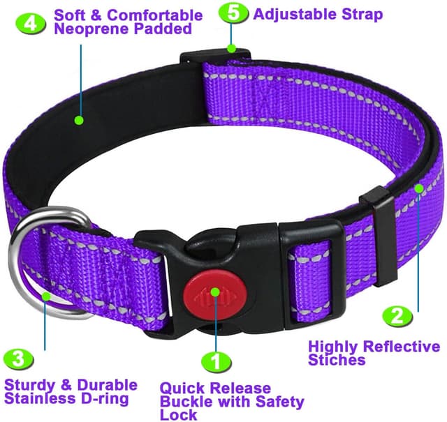 Detalle 2 de ATETEO reflective adjustable dog collar with soft neoprene padding (nylon, quick-release, metal D ring)
