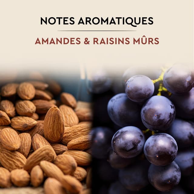 Thumbnail 4 de Carte Noire Café en grains 500 g