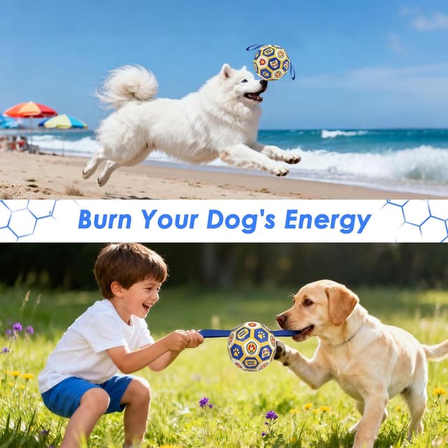 Thumbnail 6 de Vivifying Interactive Dog Ball 15.24 cm