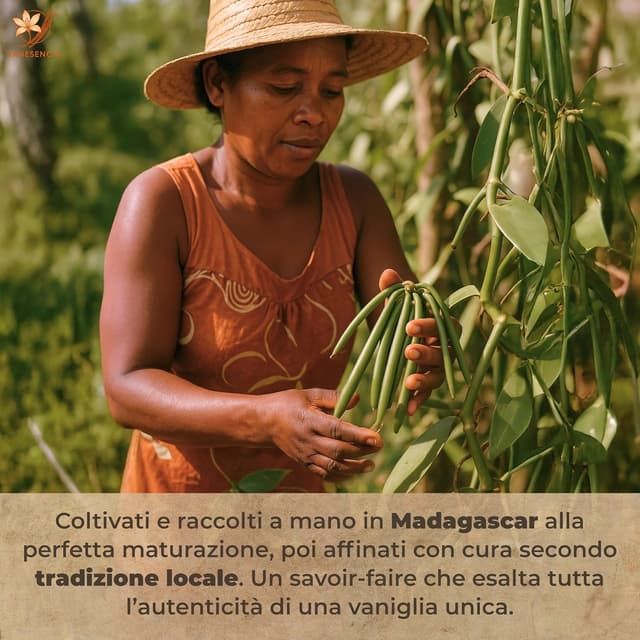 Thumbnail 2 de VANESENCIA Vaniglia Bourbon in polvere 20 g 🍫