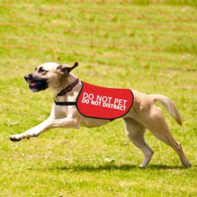 Detalle 2 de Do Not Pet Do Not Distract Dog Jacket Vest (PET DISTRACT L) – Service/Working Dog Warning Slogan Vest