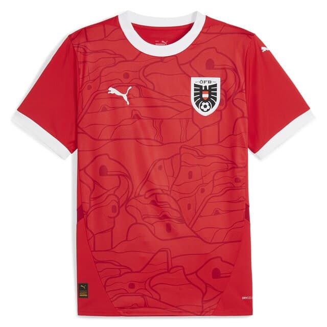 Thumbnail 5 de Puma Camiseta hombre Austria ÖFB 2024 Replica