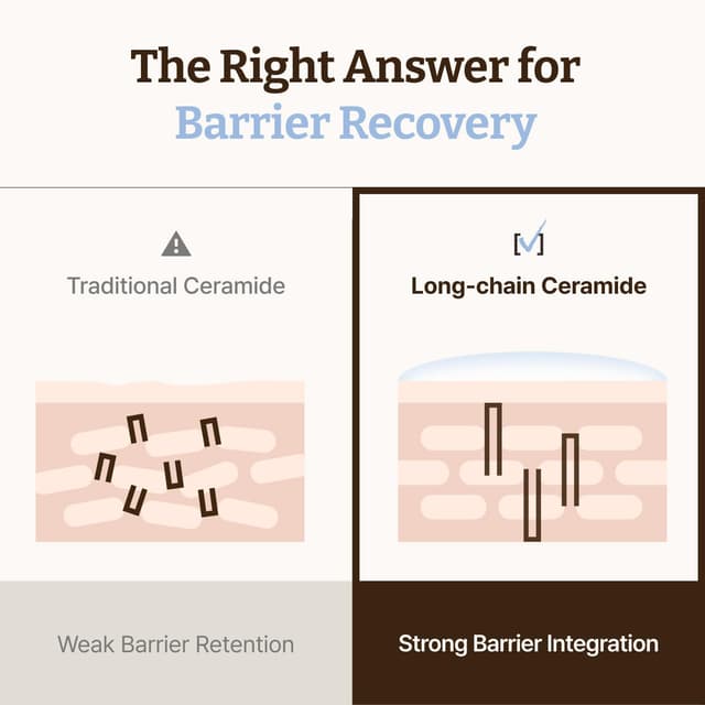 Thumbnail 4 de Dr. Reju-All Advanced LC-Ceramide Barrier Cream 1.69 Fl Oz