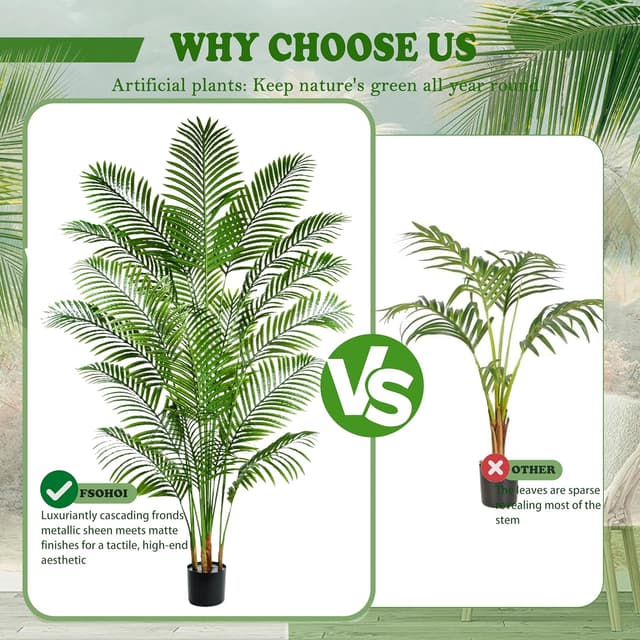 Thumbnail 5 de Palmier Arnusa 180cm en pot