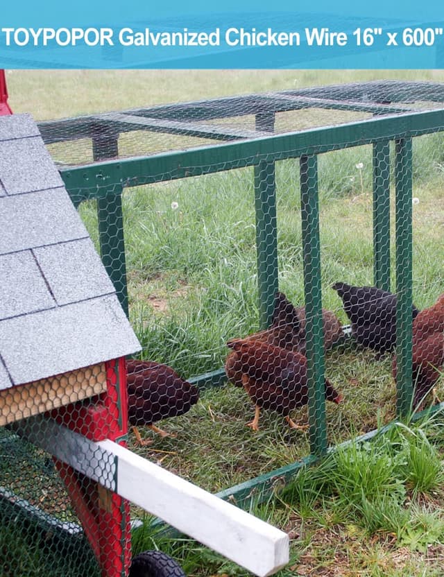 Detalle 2 de TOYPOPOR Chicken Wire 16''x49ft galvanised hexagonal fencing mesh for outdoor plant protection