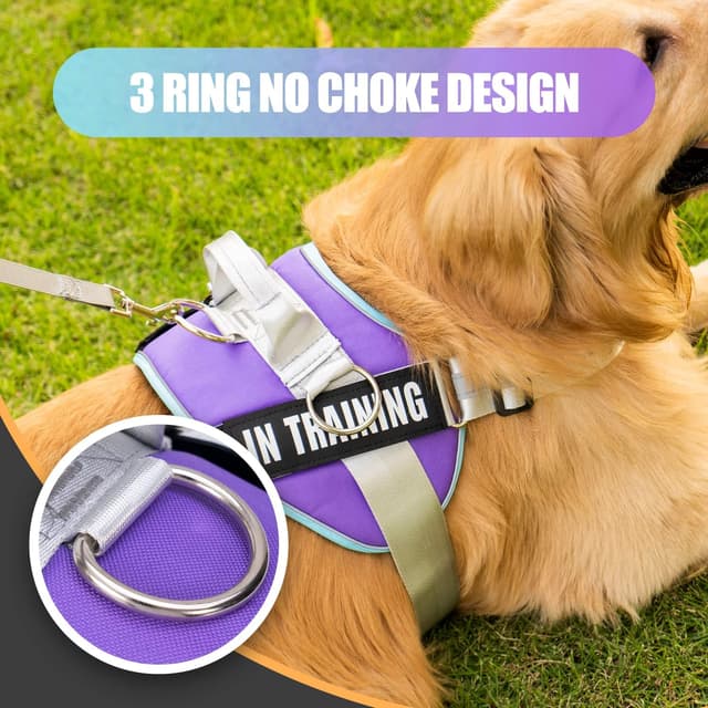 Detalle 2 de 3 Ring No Pull Dog Harness with Reflective Vest, Adjustable Straps and 3 Leash Clips