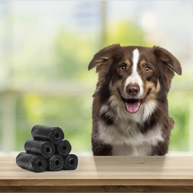 Thumbnail 5 de Nobleza Bolsas Caca Perro extra gruesas 1080u