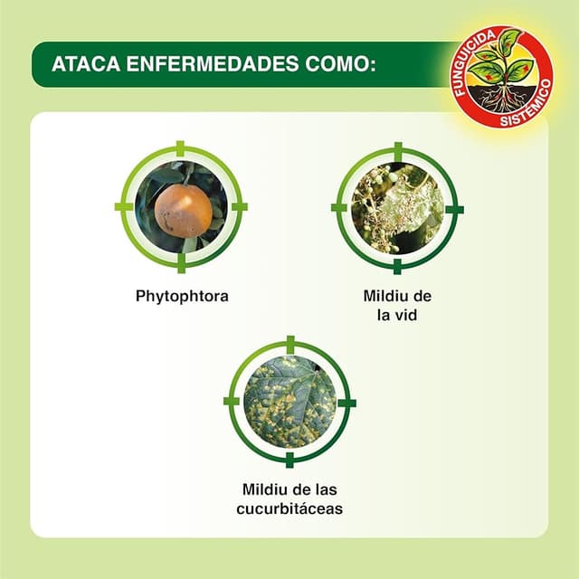 Thumbnail 5 de Protect Garden Fungicida sistémico WG para cítricos, vid y hortícolas 🌱