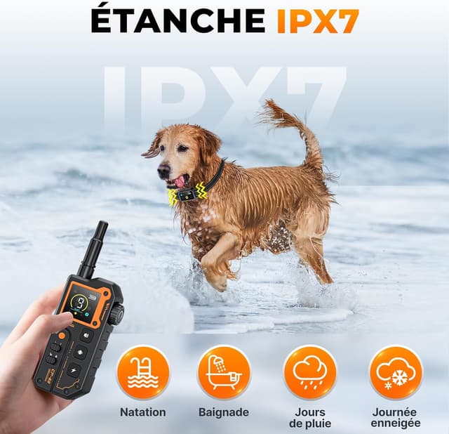 Thumbnail 3 de Collier de dressage 3000 m